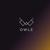 Volcano - Owle
