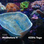 Обложка трека Avatara 432HZ