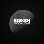 Обложка трека Bisken - Moonlight