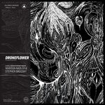 Обложка трека Shades Apart