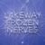 Synapses - Lakeway