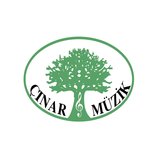 Обложка трека Huzurum Kalmadı