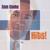 I Think About It All the Time - John Berry