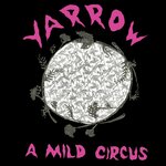 Обложка трека A Mild Circus