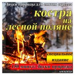 Обложка трека Костра В Лесу В Полночь: Звуки Природы