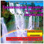 Обложка трека Звуки природы для снятия стресса: Тропический водопад со звуками джунглей
