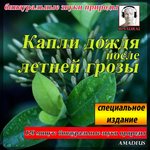 Обложка трека Binaural Nature Sounds: Raindrops After the Summer Storm