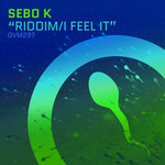 Обложка трека Riddim