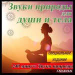 Обложка трека Звуки моря с дельфинами и китами: звуки природы
