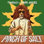 Обложка трека Pinch of Salt