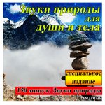 Обложка трека Звуки природы: Балийский пляж с костром и сверчков: звуки природы