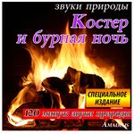 Обложка трека Kостер и бурная ночь: звуки природы
