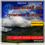 Обложка трека Птица песня на рассвете: звуки природы