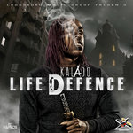 Обложка трека Life Defence