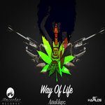 Обложка трека Way of Life