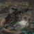 Wheel of Time - Blind Guardian