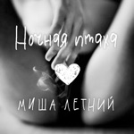 Обложка трека Ночная птаха