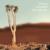 The Human Tree - Kenneth Bager