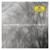 Richter: Arboretum - Max Richter