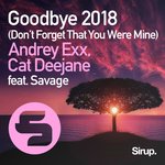 Обложка трека Goodbye (Don't Forget That You Were Mine) 2018