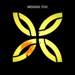 Обложка трека Missing You