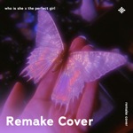 Обложка трека Who Is She x The Perfect Girl (Remix)