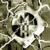 Supercharger - Machine Head