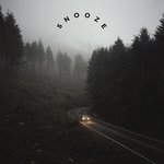Обложка трека Snooze