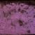 Five String Serenade - Mazzy Star