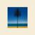 Trouble - Metronomy