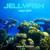Deep Riff - Jellyfish