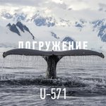 Обложка трека Дельфин