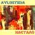 Весна - Aylostera