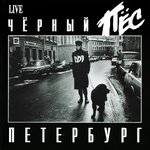 Обложка трека Чёрный пёс Петербург