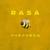 Ты пчела я пчеловод - Rasa
