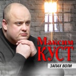 Обложка трека Тебя со мною нет ,а я всё жду любя.