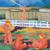 Gap Year - Nevasca