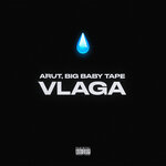 Обложка трека VLAGA