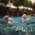 Sympathy For The Strawberry - Sonic Youth