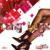 Street Cred - Dadre