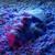 Die - Baajewala