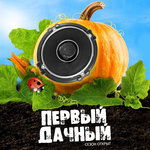 Обложка трека Дыши