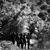 Lay Down Low - The Eagle Rock Gospel Singers