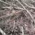 Человек толпы - Multidark