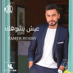 Обложка трека Lolak Habiby