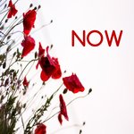 Обложка трека Breathe
