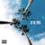 Without You - Mila J