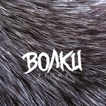 Обложка трека Волки