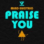 Обложка трека Praise You