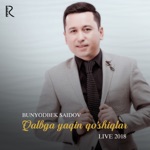 Обложка трека Qalbga Yaqin Qoshiqlar (Live 2018)